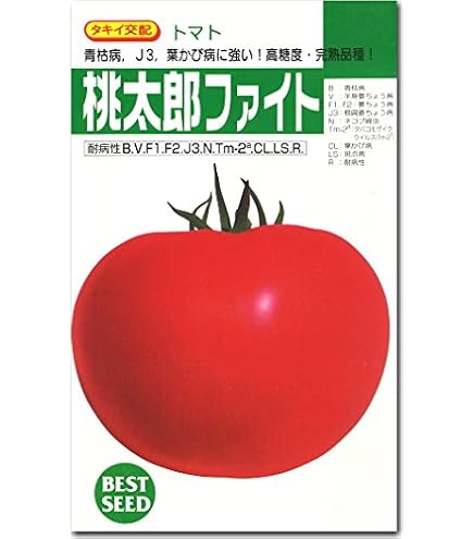【まもなく終了！お早めに！】サターン トマト苗 野菜苗 50本 8cmポット Amazon.co.jp: 大玉トマト 種 【 サターン 】 種子 小袋（約50粒